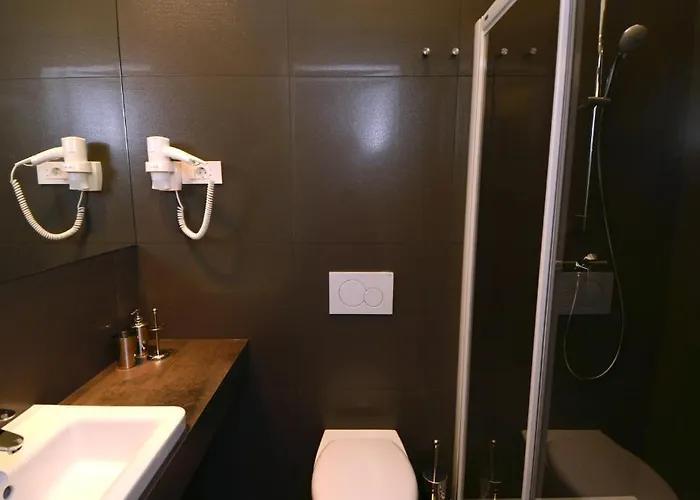 Ginger ゲストハウス 3*